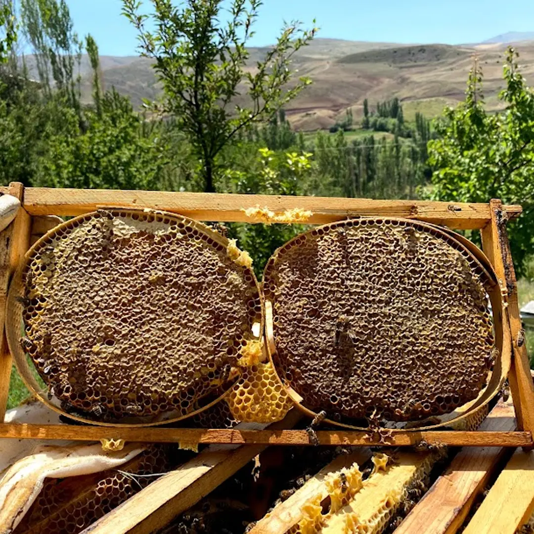 Karakovan Petek Balı